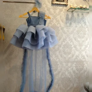 Elegant Grey Princess Frock with Full Flair and Handwork