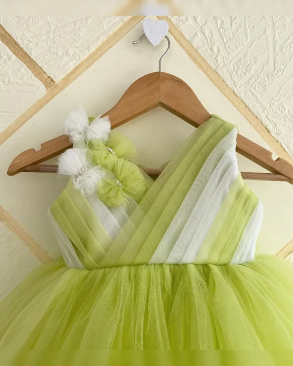 Designer Heavy Net Flair Dress with Yoke Pleats and Floral Details - Image 10