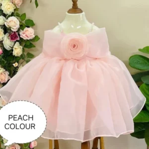 Exquisite Heavy Organza Gown with Double Flair and Flora