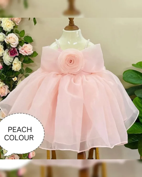 Exquisite Heavy Organza Gown with Double Flair and Flora - Image 2