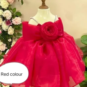 Exquisite Heavy Organza Gown with Double Flair and Flora