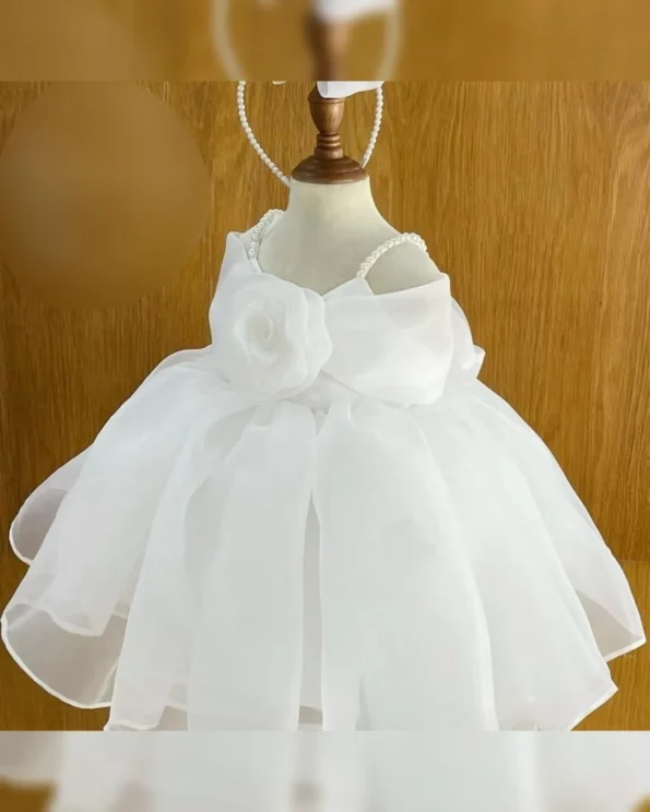 Exquisite Heavy Organza Gown with Double Flair and Flora - Image 9