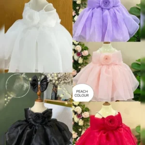 Exquisite Heavy Organza Gown with Double Flair and Flora