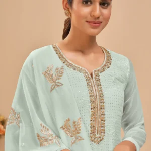 Graceful Embroidered Georgette Salwar Kameez