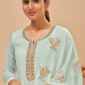 Graceful Embroidered Georgette Salwar Kameez