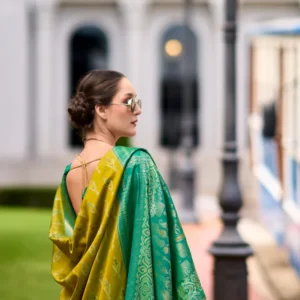 Soft Silk Saree with Ikkat Border and Classic Elegance