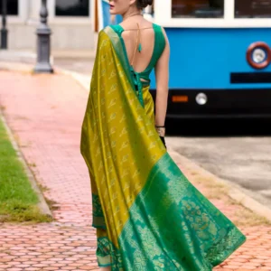 Soft Silk Saree with Ikkat Border and Classic Elegance