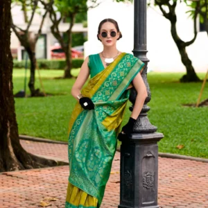 Soft Silk Saree with Ikkat Border and Classic Elegance