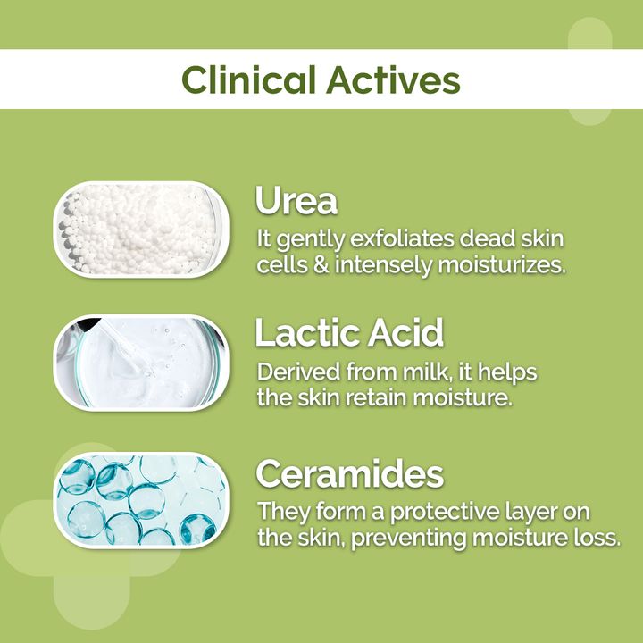 The derma co 4% UREA DEEP MOISTURIZING CREAM - Image 3