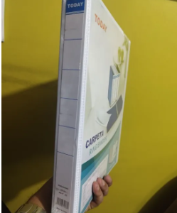 Today 3 Ring View Binder File Holds 250 Sheets
